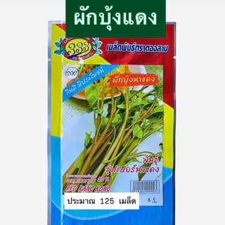 เมล็ดผักบุ้ง ต้นแดง ผักบุ้งนา ประมาณ 120 เมล็ด (5กรัม)