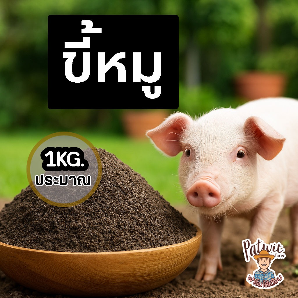 (2ถุง50)(15ถุงส่งฟรี)ขี้หมู มูลสุกร ขนาด 1KG. โพแทสเซ๊ยมสูง บำรุงพืชหัว บำรุงรากแข็งแรง เหมาะกับพืชหัวและพืชทุกชนิด