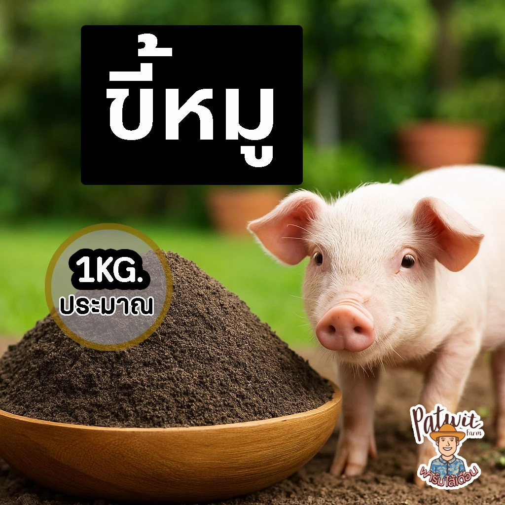 (2ถุง50)(15ถุงส่งฟรี)ขี้หมู มูลสุกร ขนาด 1KG. โพแทสเซ๊ยมสูง บำรุงพืชหัว บำรุงรากแข็งแรง เหมาะกับพืชหัวและพืชทุกชนิด