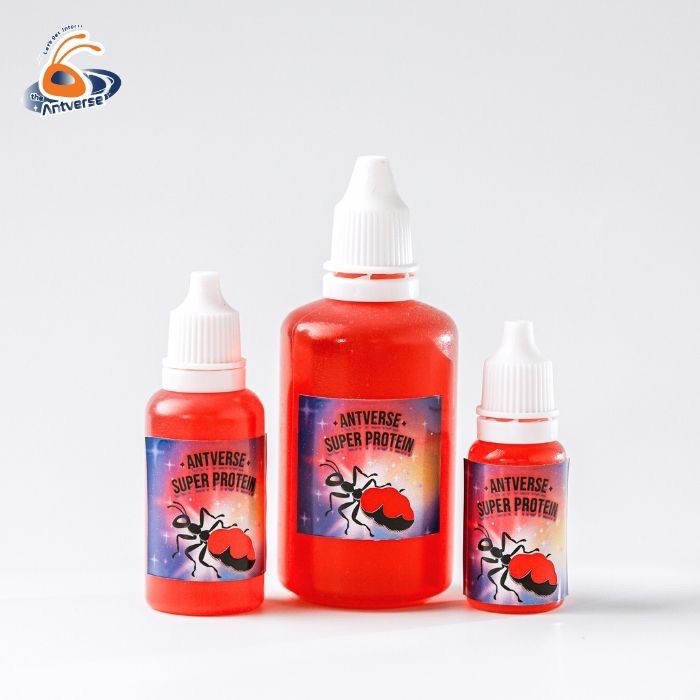 น้ำหวานโปรตีนสำหรับมด สูตรเร่งไข่ บำรุงตัวอ่อน Antverse Super Protein - รูปที่ 3