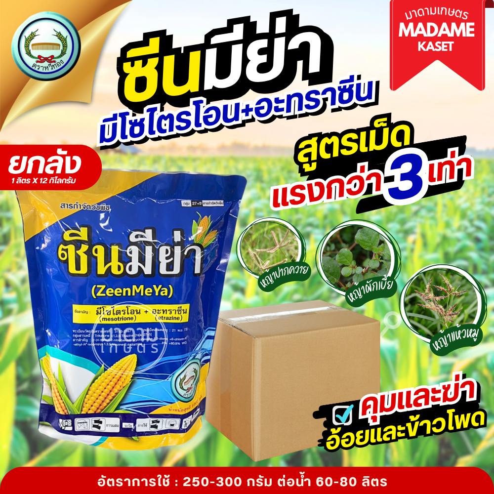 ยกลังx12กิโลกรัม**จำกัดออเดอร์ละ 1 ลัง** | ซีนมีย่า ตราหวีทอง (มีไซไตรโอน + อะทราซีน) คุมและฆ่าหญ้าในอ้อยและข้าวโพด