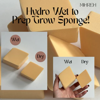[3150](พร้อมส่ง) Hydro wet to prep grow sponge! ฟองน้ำแต่งหน้าแบบเปียก ตบๆๆ ได้ลุคงานผิวโกลว แบบช่างเกาหลีมาเอง (MT10)