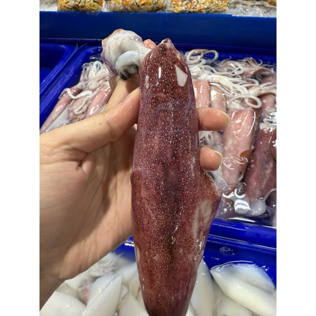 ปลาหมึกไข่สด 1 กิโลกรัม ประมาณ 6-7ตัวโล ไข่แน่นๆ