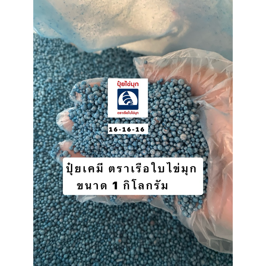 ปุ๋ย16-16-16 1กิโล❌สีเขียว❌ตราเรือใบ เม็ดสีฟ้า ปุ๋ยสูตรเสมอ ปุ๋ยเร่งต้น เร่งดอก เร่งผล เร่งการเจริญเติบโตแบบตักแบ่ง