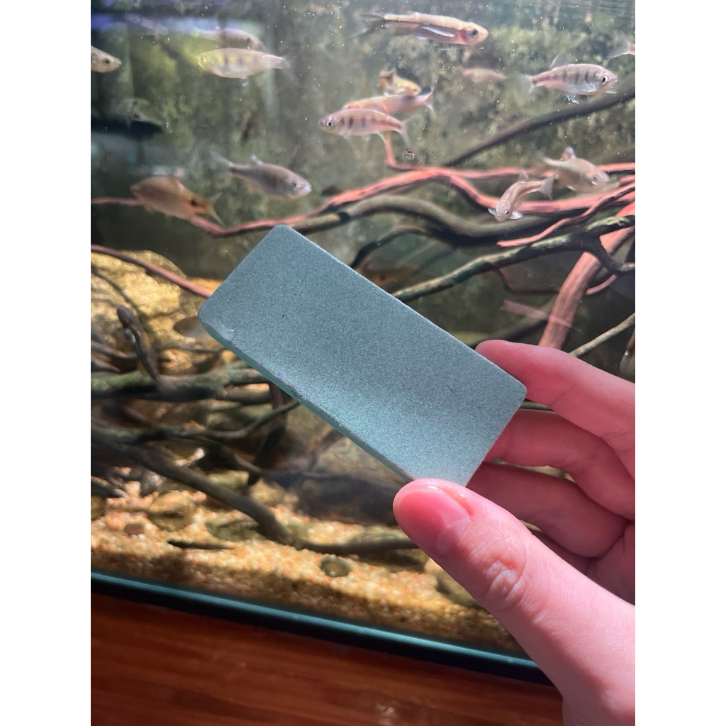 ฟองน้ำขัดกันกระจกคราบหินปูนคราบตะไคร่ขัดกระจกไม่ทำให้เกิดรอย!!!