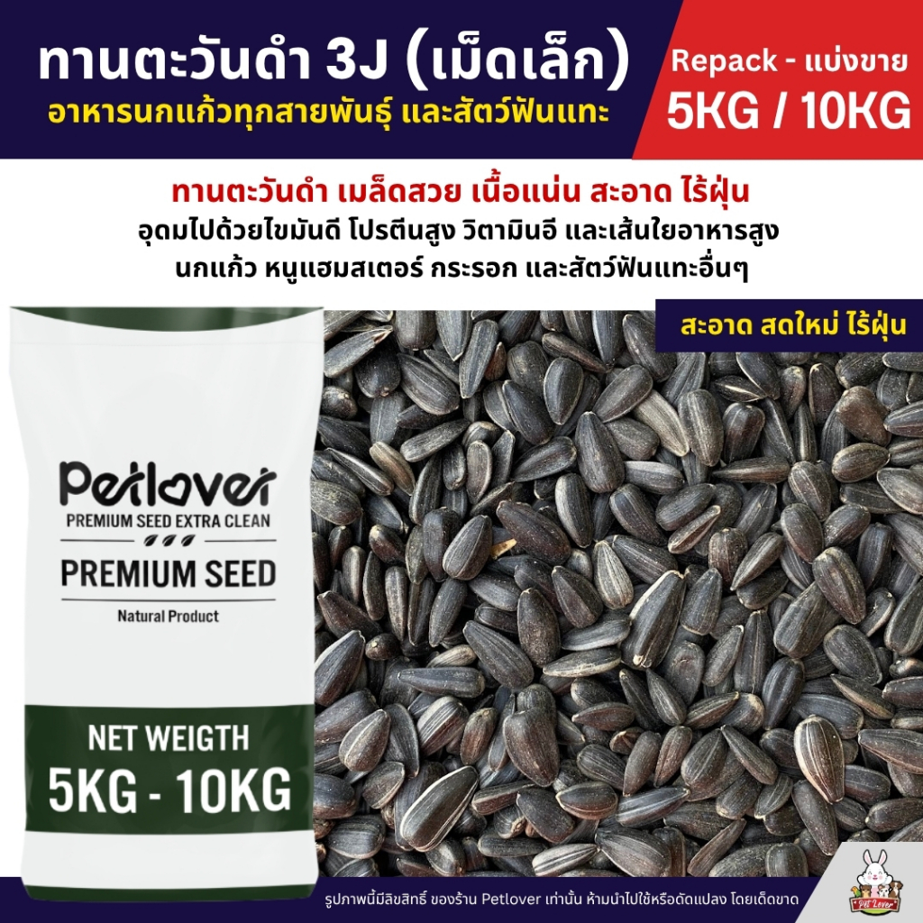 (5KG/10KG) ทานตะวันดำ 3J เม็ดเล็ก เกรดA อาหารนกแก้ว และสัตว์ฟันแทะ สะอาด ร่อนฝุ่นทุกถุง ราคา ถูกที่สุด ดีลบีเคเค