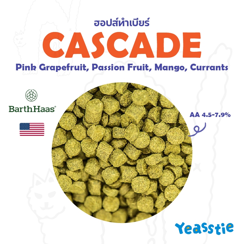 ฮอปส์ ทำเบียร์ Cascade Hops 28 กรัม