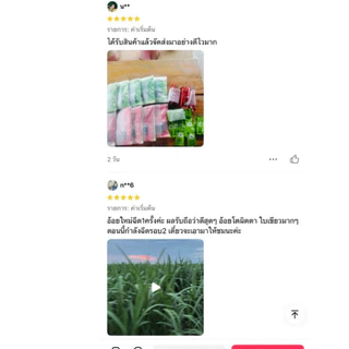 สารกระตุ้นการแตกกออ้อย ผงโอ้โหขนาด400กรัม(ได้2สี)