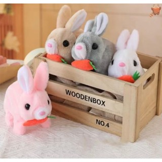 กระต่าย หมา แมว โปเกมอน ใส่ถ่านเคลื่อวไหวได้ มีไฟมีเสียง