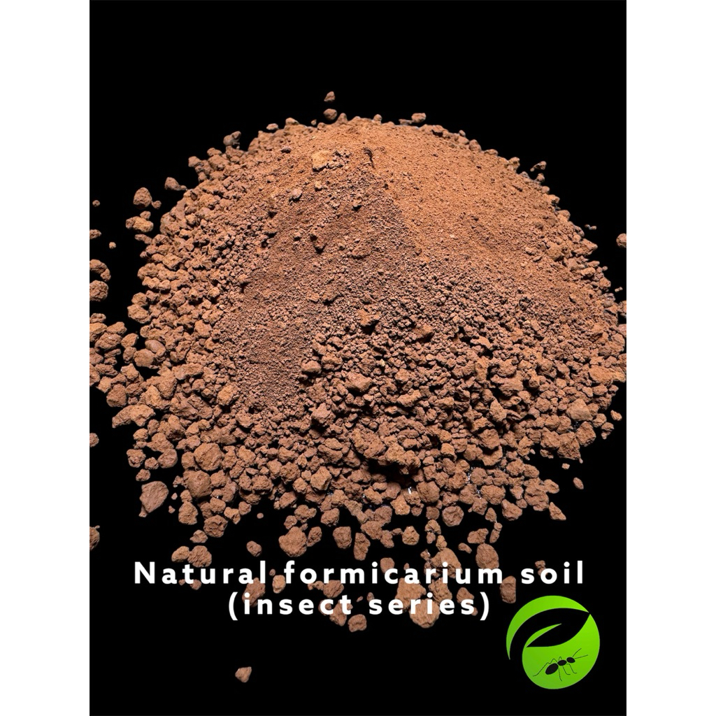Natural formicarium soil (วัสดุรองพื้นเลี้ยงแมลง)