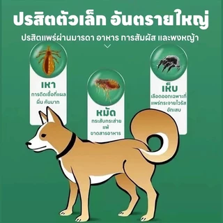 🐶ใช้ได้กับสัตว์เลี้ยงทุกชนิด🐱TS ยาฆ่าเห็บหมัด ยาเห็บหมัดหมา สุนัข แมว เชื้อรา ขนร่วง คันเกา ยีสต์ มี อย ถูกต้อง