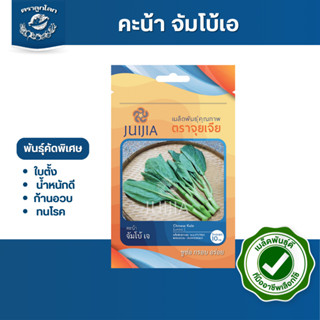 ตราลูกโลก เมล็ดคะน้า จัมโบ้A Kale เมล็ดพันธุ์ผัก ผักสวนครัว …