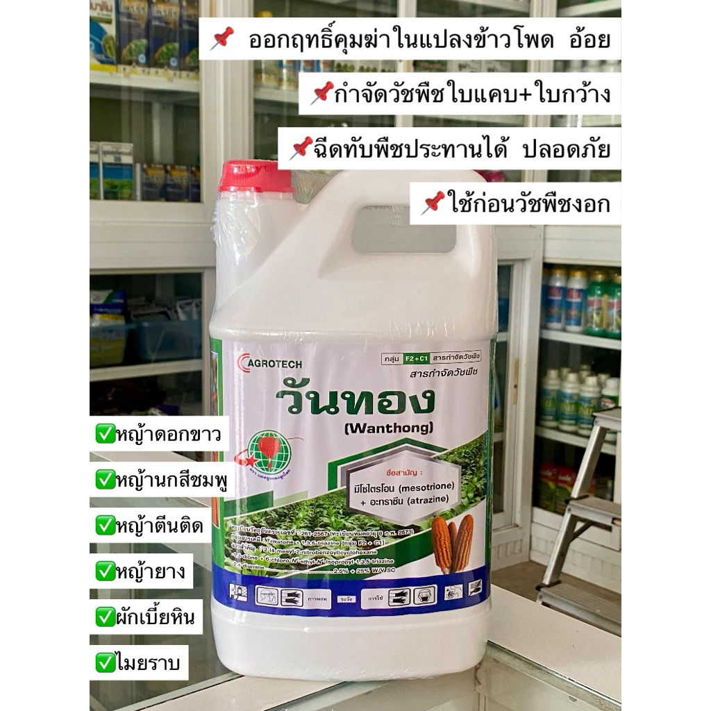 วันทอง มิโซไตรโอน+อะทราซีน ยาคุมฆ่าวัชพืชทั้งใบแคบและใบกว้าง แกลลอนขนาด 4 ลิตร