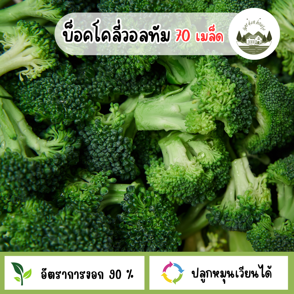 บ๊อคโคลี่วอลทัม 70 เมล็ด