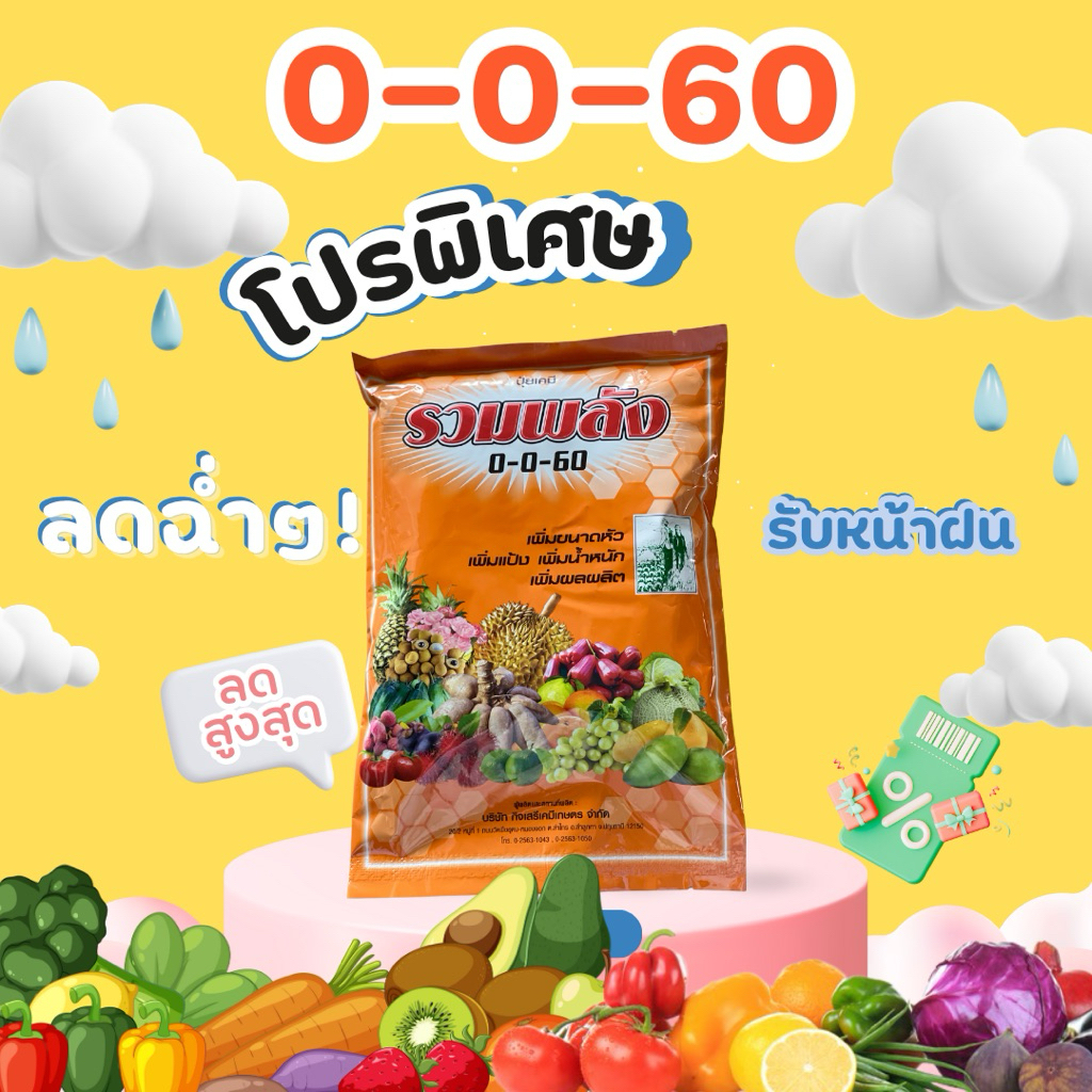 0-0-60 ปุ๋ยเกร็ด เพิ่มแป้ง