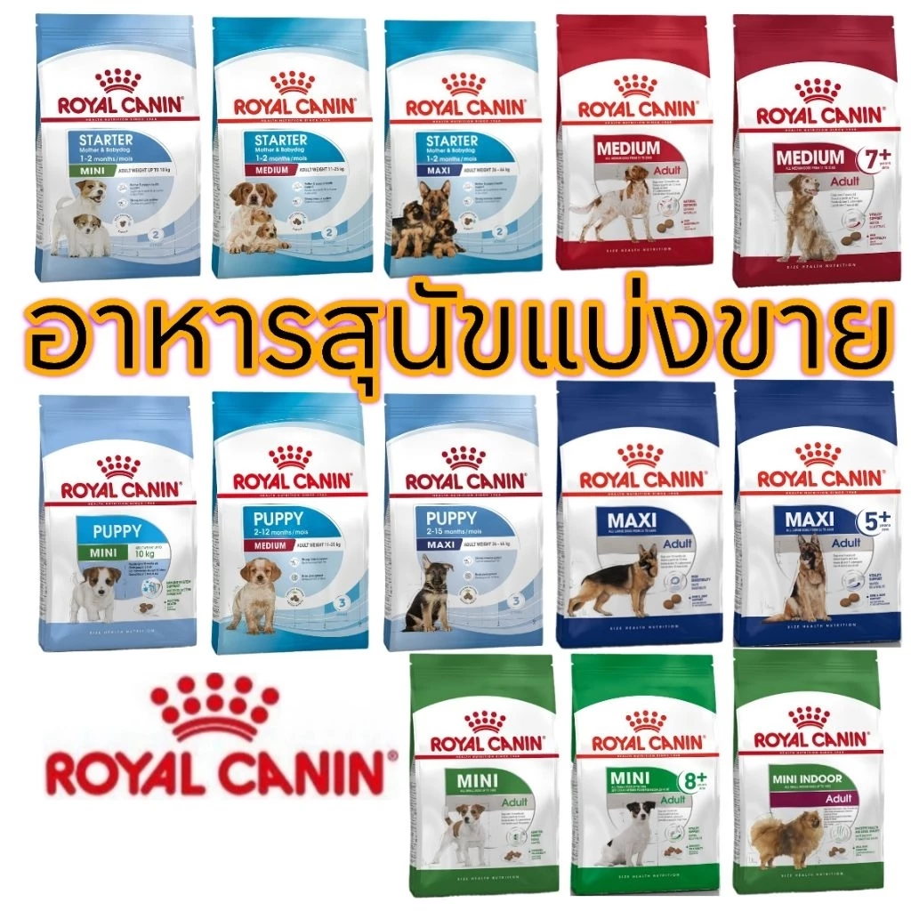 [ส่งไว/แบ่งขาย] อาหารสุนัข Royal​ canin ครบทุกสูตร​ ถุงละ​ 500​ g​ , 1 kg ของแท้100%