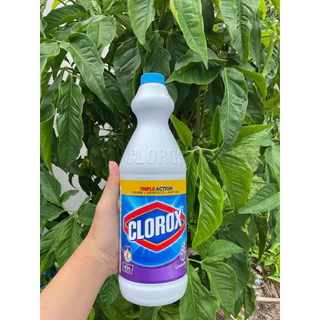 CLOROX Total cleaning & Disinfecting Bleach น้ำยาทำความสะอาดและฆ่าเชื้อโรค อเนกประสงค์ 3 in1 ขนาด 1 ลิตร (1000 ml.)