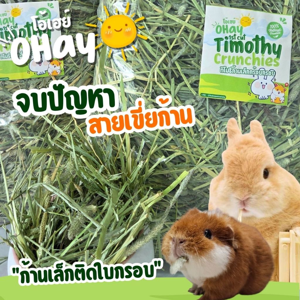 🍀NEW หญ้าทิมใหม่ไม่เหมือนใคร!!🍀OHAY หญ้ากระต่าย Timothy Crunchies USA (1kg) ก้านเล็ก ใบเยอะ กรอบหอม สำหรับกระต่ายแกสบี้