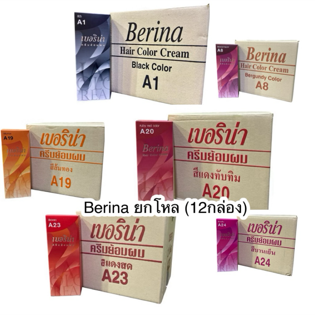 Berina ครีมเปลี่ยนสีผมเบอริน่า ยกโหล (x12หลอด)