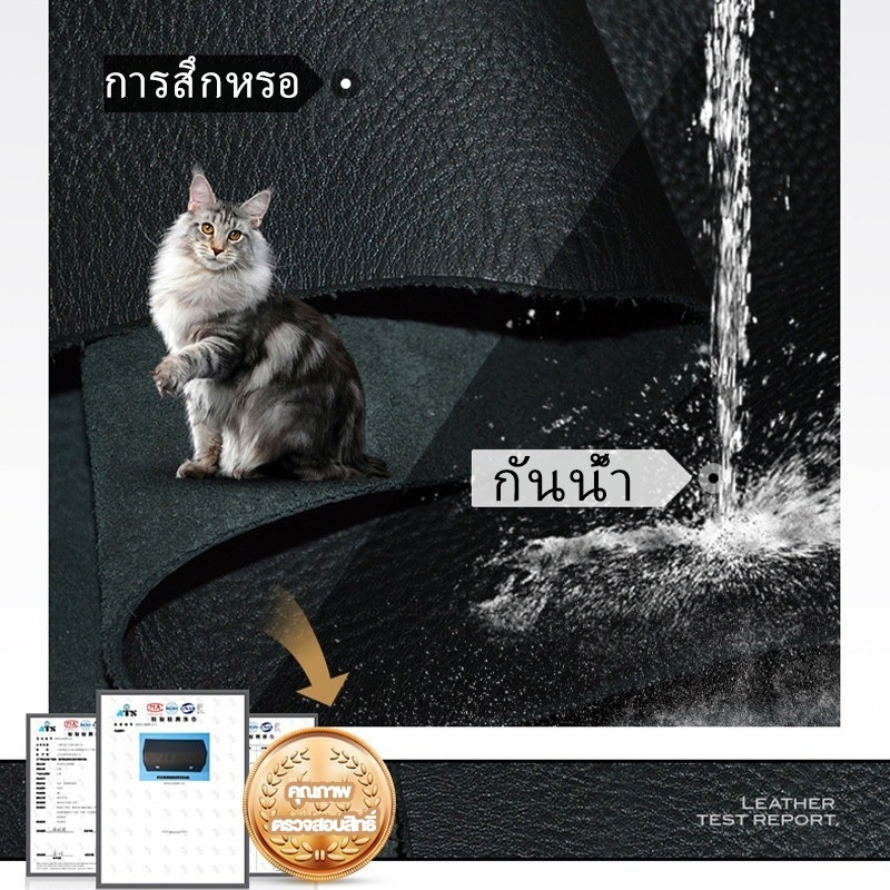 รูปภาพ 2