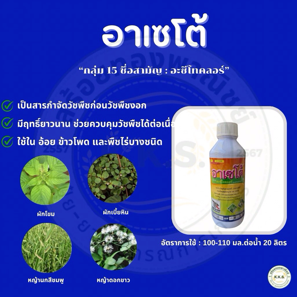 อาเซโต้(อะซีโทคลอร์)(ยกลัง) สารคุมหญ้าก่อนวัชพืชงอก คุมได้ทั้งหญ้าใบกว้างและใบแคบ คุมหญ้าในข้าวโพด มันสำปะหลัง อ้อย ราคา ถูกที่สุด ดีลบีเคเค แกลเลอรีภาพที่ 3