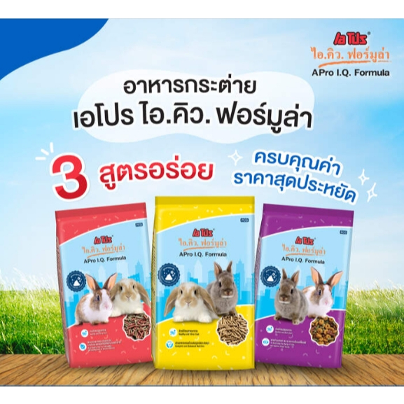 Apro i.Q อาหาร กระต่ายเด็ก กระต่ายโต ลูกกระต่าย