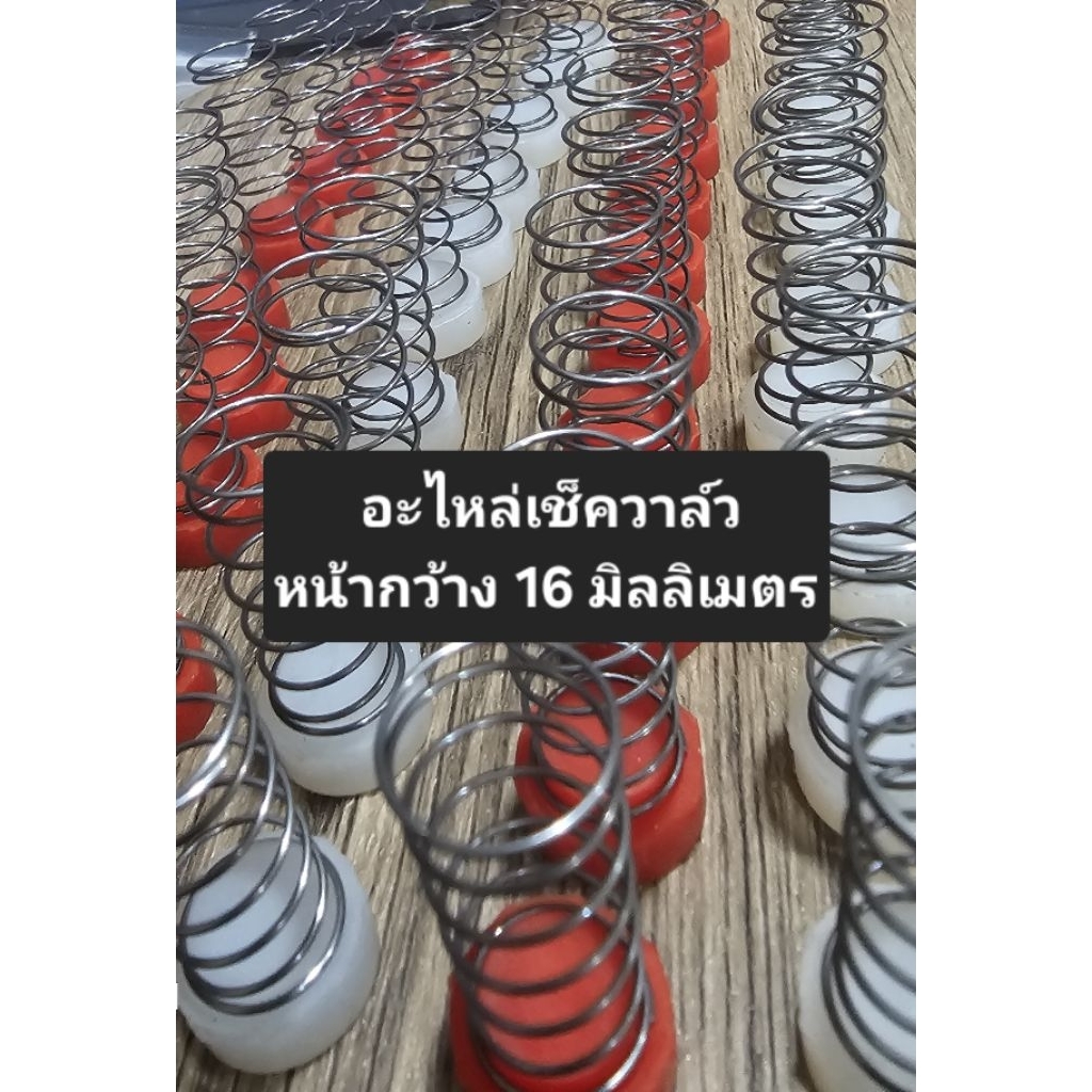 อะไหล่เช็ควาล์ว ชุดซ่อมเช็ควาล์ว หน้ากว้าง 16 มิลลิเมตร อะไหล่ปั๊มล