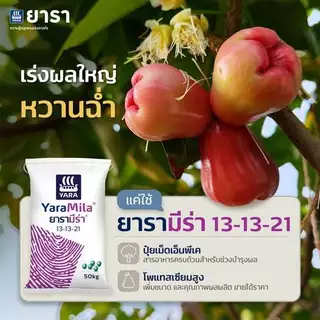 ปุ๋ยเคมี 13-13-21 ยารา บำรุงราก ต้น ใบ ดอก ผล ใส่ผัก ผลไม้ ไม้ดอกไม้ประดับ