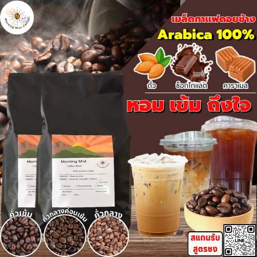 เมล็ดกาแฟดอยช้าง Morning Mist Coffee อาราบิก้า 100%