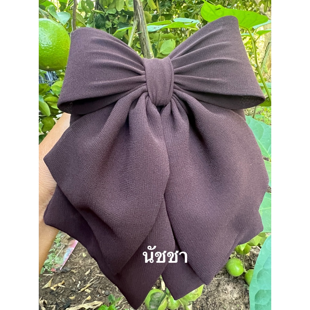 เน็ตติดผมผ้าชีฟองสีน้ำตาลหางสั้น