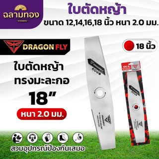 ใบมีดตัดหญ้า ใบตรง ใบมะละกอ หนา 2 มิล ขนาด 12,14,16,18 นิ้ว ใบคม 2 ด้าน ใบตัดหญ้าDragonfly