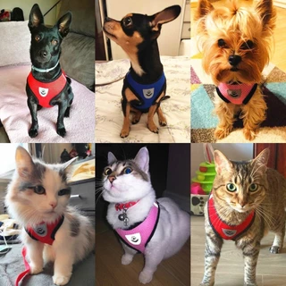 PET LIFE สายจูงสัตว์เลี้ยง สายจูงสำสหรับกิจกรรมกลางแจ้ง สายรัดหน้าอกแมว สายรัดหน้าอกสุนัข S/M/L/XL