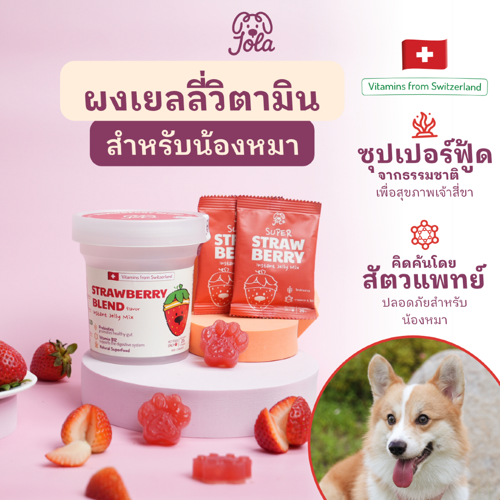 JOLA ผงเยลลี่วิตามิน สำหรับน้องหมา - ซุปเปอร์ฟู้ดจากธรรมชาติ เพื่อสุขภาพเจ้าสี่ขา