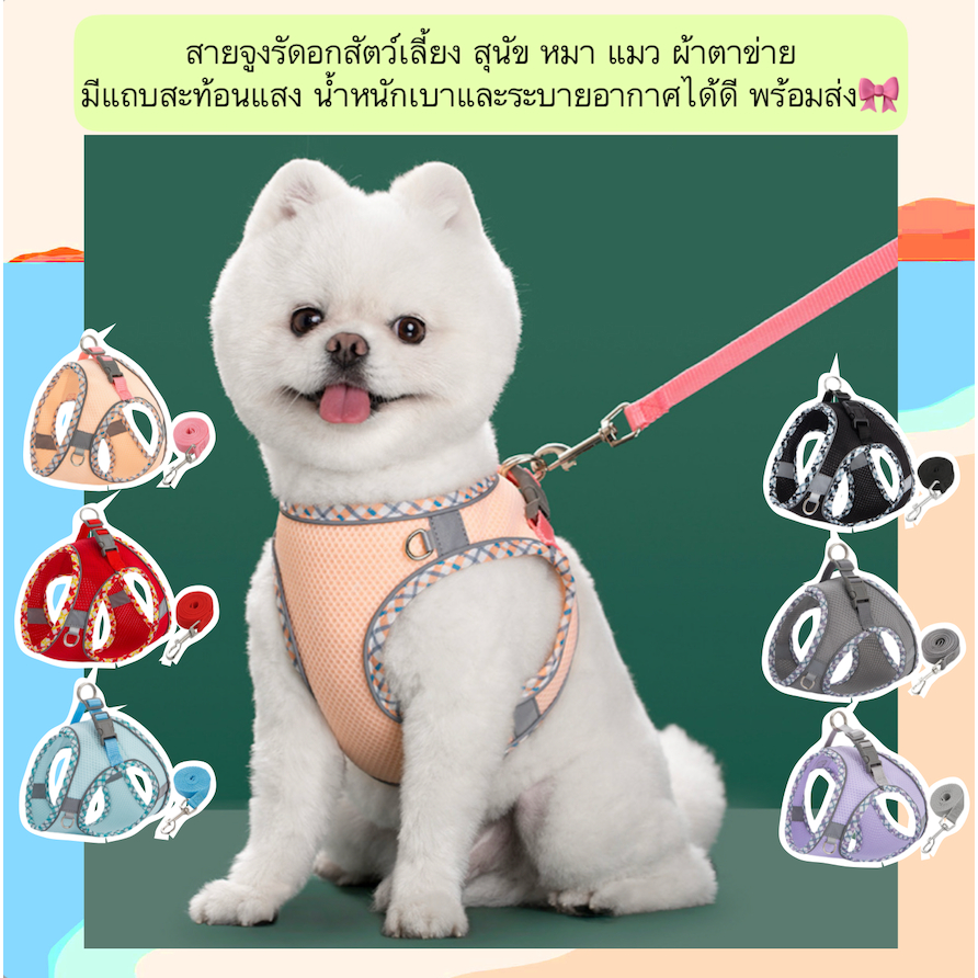 AL-503 สายจูงรัดอกสัตว์เลี้ยง สุนัข หมา แมว ผ้าตาข่าย  มีแถบสะท้อนแสง น้ําหนักเบาและระบายอากาศได้ดี พร้อมส่ง￼