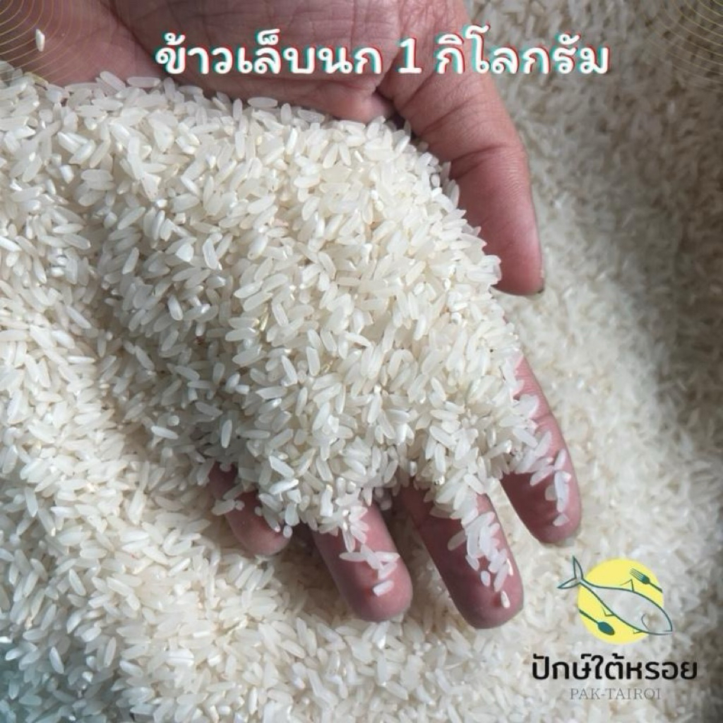ข้าวเล็บนกพัทลุง ข้าวกล้อง 1kg | ปลอดสารกันมอด สดใหม่ทุกวัน