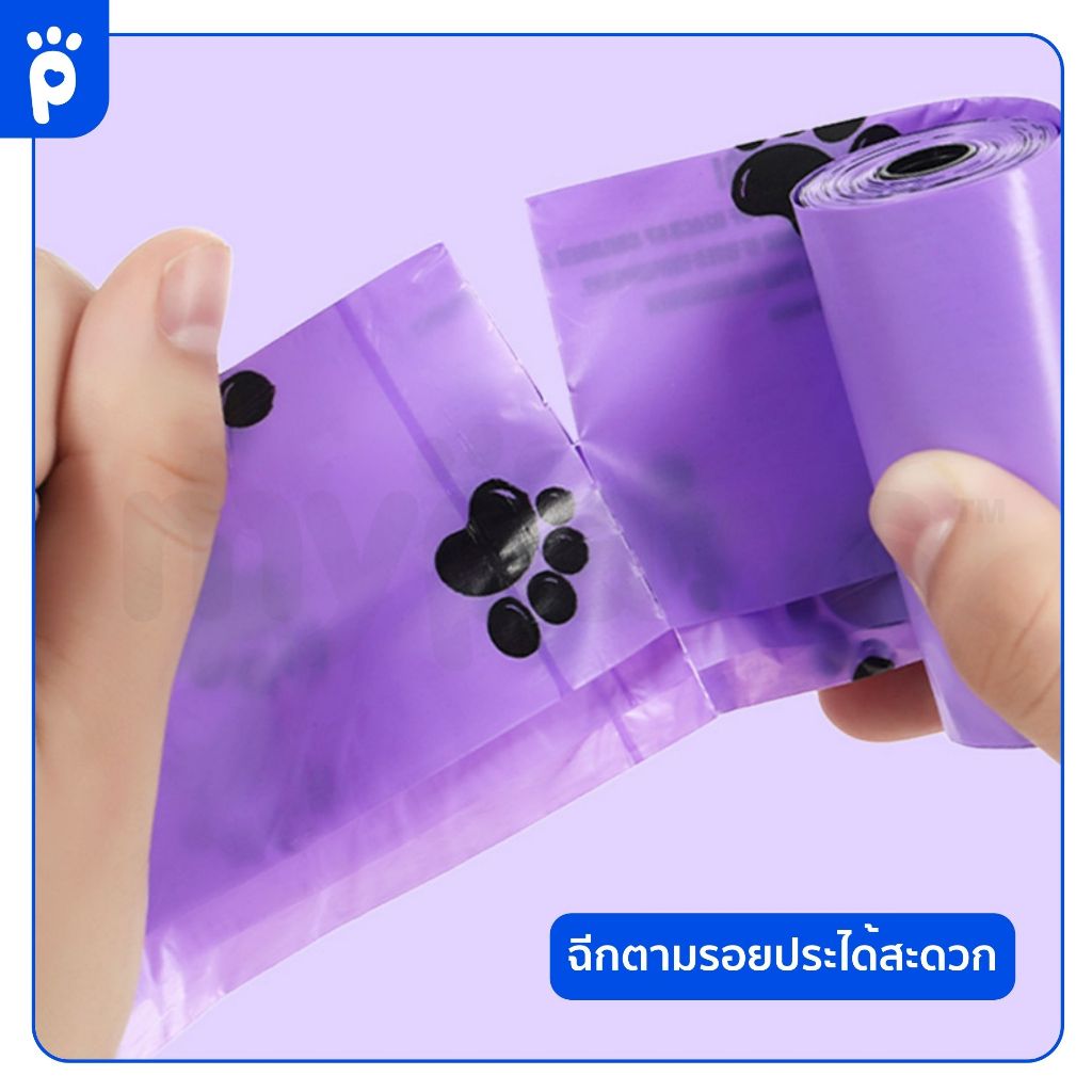 รูปภาพ 6