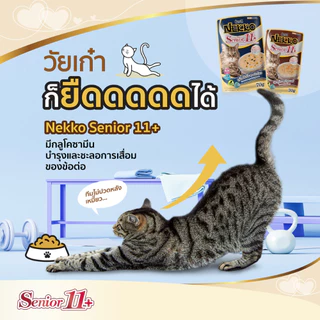 [Cheaper] [โหล] Nekko Pouch Senior 7+ 70g. อาหารเปียกแมวเน็กโกะ สูงอายุ 7ปีขึ้นไป