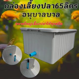 อ่างเลี้ยงปลา 65 ลิตร ท่อสีฟ้า (อ่างสีขาวครีม) 64x44x31ซ. ระบบoverflow สามารถปรับระดับน้ำ และถอดท่อเปลี่ยนน้ำได้