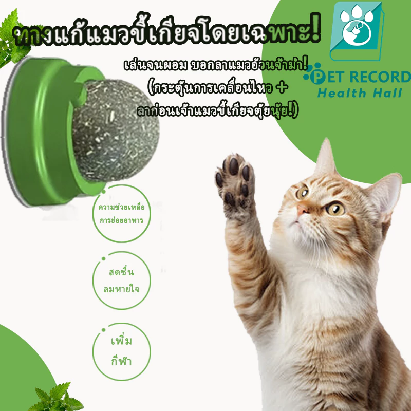 😺🌿 แคทนิปบอลของเล่นแมว | กระตุ้นพฤติกรรมตามธรรมชาติ + สนับสนุนสุขภาพ