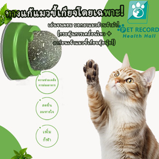 😺🌿 แคทนิปบอลของเล่นแมว | กระตุ้นพฤติกรรมตามธรรมชาติ + สนับสน…