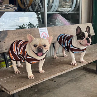 🇹🇭พร้อมส่ง🇹🇭 เสื้อแมว เสื้อหมา ลายริ้วสุดคลาสสิก น่ารัก เรียบง่าย ใส่ได้ทุกโอกาส