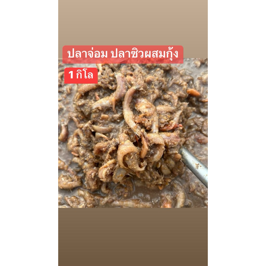 ปลาจ่อมปลาซิวผสมกุ้ง พร้อมส่ง (500 กรัม)