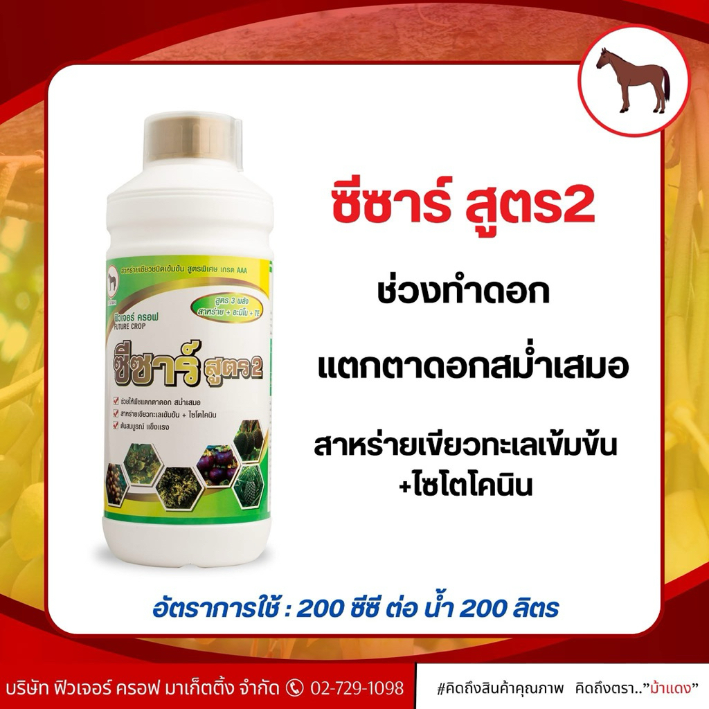ซีซาร์ สูตร 2 ฟิวเจอร์ครอฟ สูตร3พลัง สาหร่าย+อะมิโน+TE ช่วยแตกตาดอก สาหร่าย+ไซโตไคนิน ต้นสมบูรณ์ แข็งแรง ขนาด 1 ลิตร
