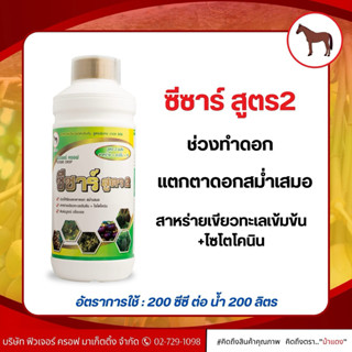 ซีซาร์ สูตร 2 ฟิวเจอร์ครอฟ สูตร3พลัง สาหร่าย+อะมิโน+TE ช่วยแ…