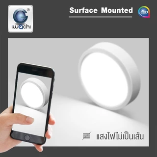 IWACHI โคมดาวน์ไลท์ ติดลอย ถนอมสายตา ทรงกลม ไดร์เวอร์รวม 12W 18W 24W 30W แสงขาว แสงวอร์ม