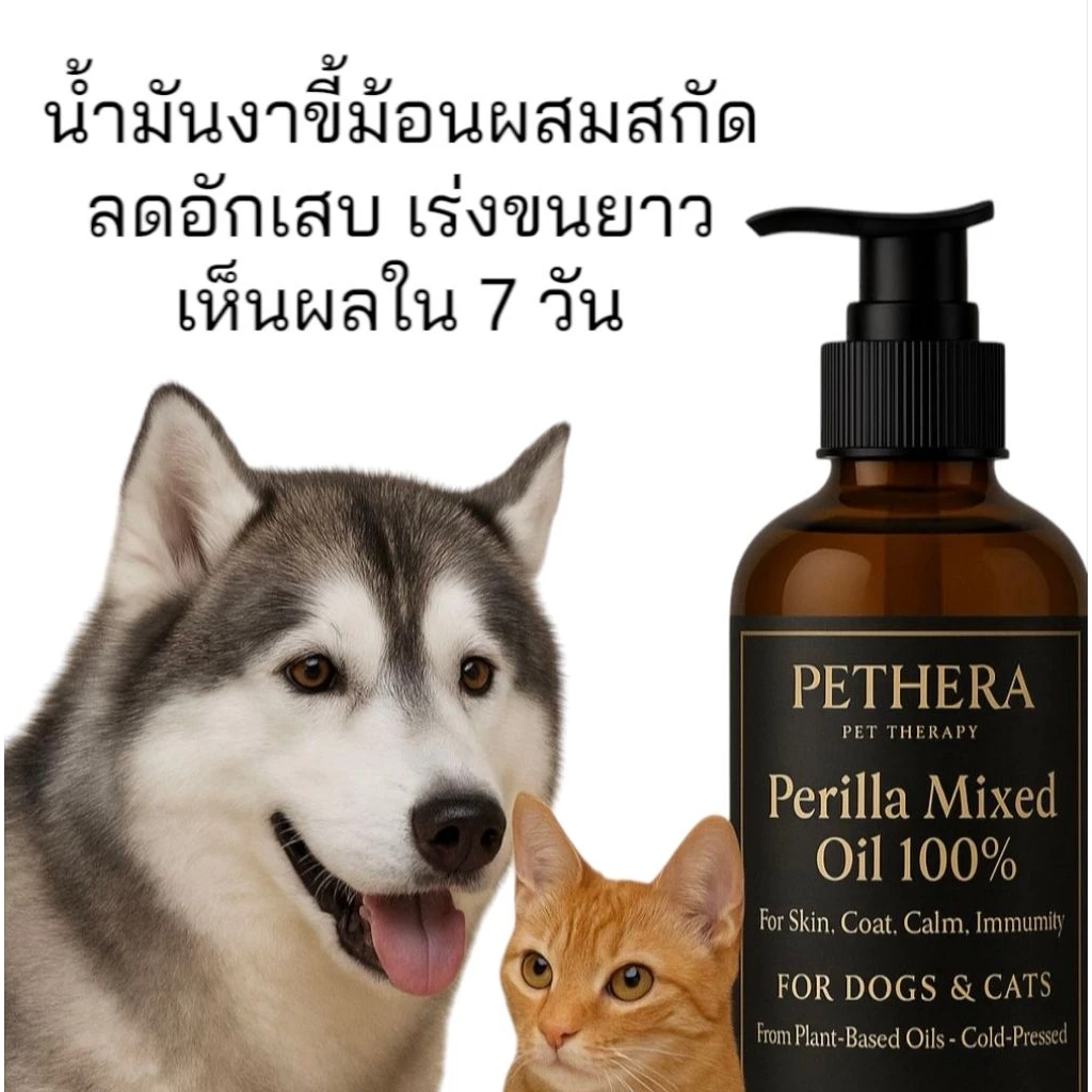 *เกรดประกวด น้ำมันบำรุงใช้คลุกอาหารเม็ด สูตรดูแลสุขภาพผิว/เส้นขน น้องที่แพ้อาหารง่าย ทานได้ต่อเนื่องเป็นประจำ thumbnail 4