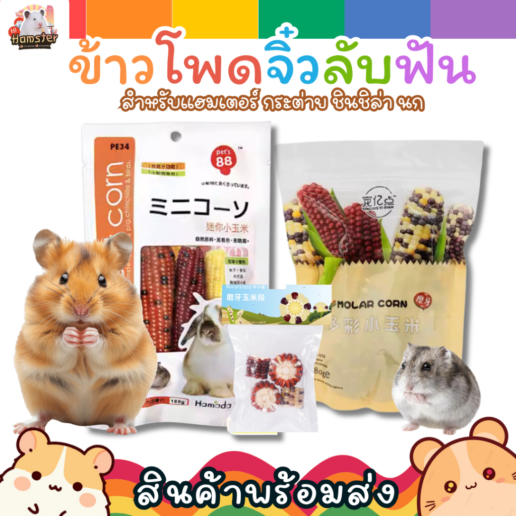 ข้าวโพดจิ๋ว ลับฟัน ข้าวโพดหวาน สำหรับแฮมสเตอร์ สัตว์ฟันแทะทุกชนิด นก กระต่าย ชินชิล่า กระรอก