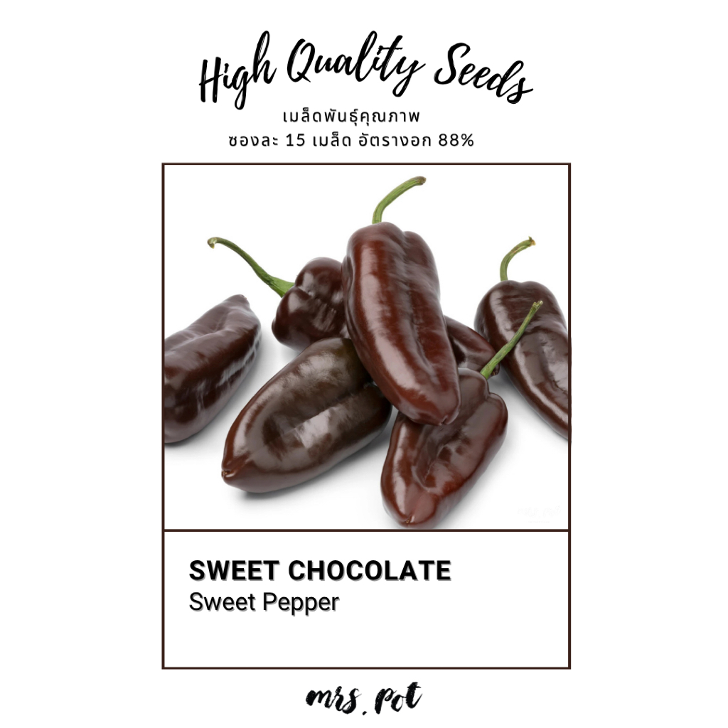 เมล็ดพริกนำเข้า Sweet Chocolate Sweet Pepper รหัส064