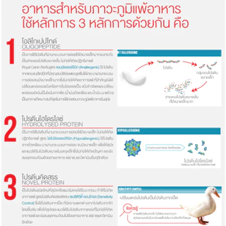 Royal Canin Vet Dog 8 kg Anallergenic สุนัขที่มีภาวะภูมิแพ้อาหาร