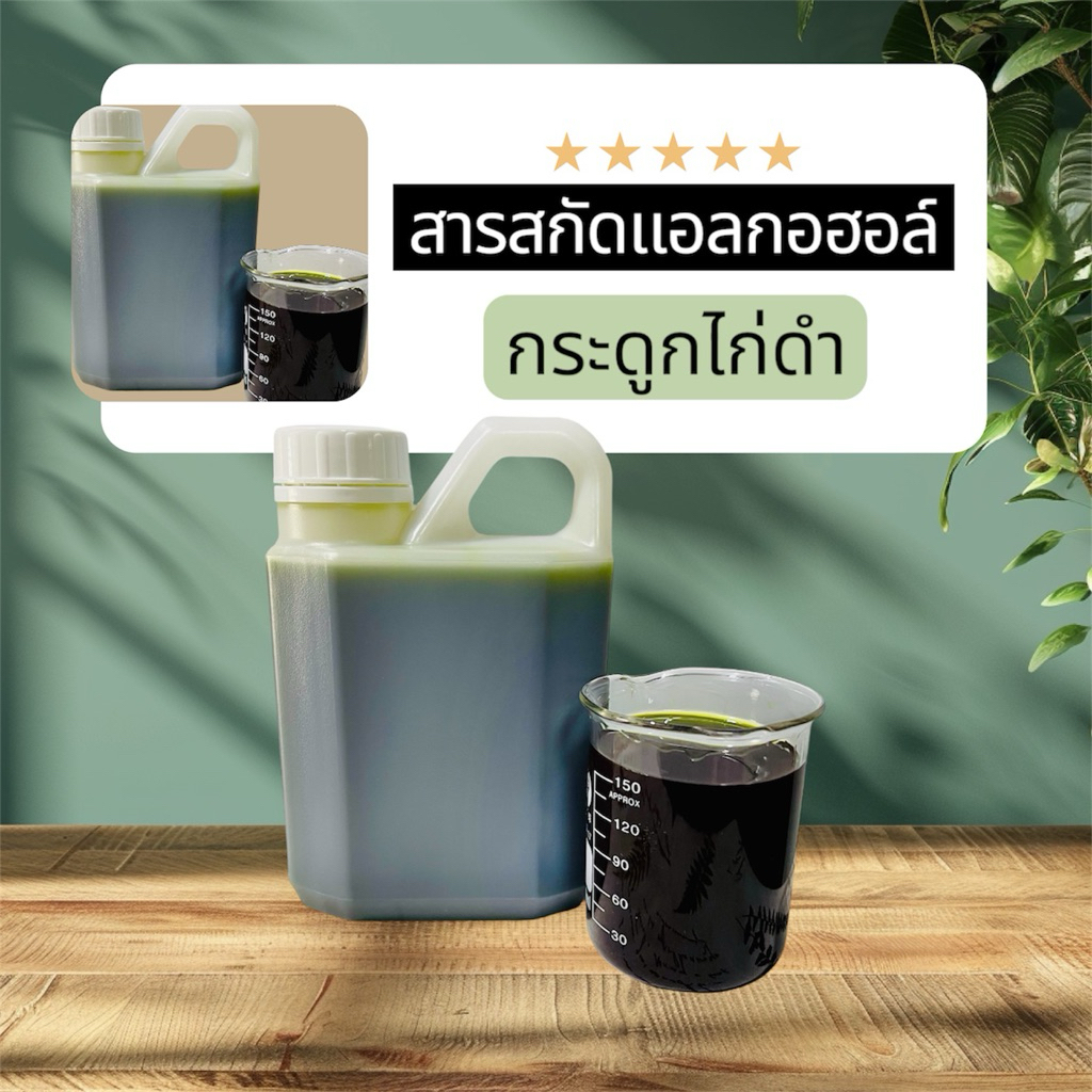 สารสกัดLกฮใบกระดูกไก่ดำสดเข้มข้น